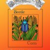 Colorful blue beetle in a corn stalk.