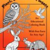 An owl, rabbit, hummingbird, and armadillo on book cover